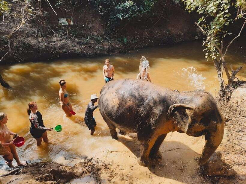Siem Reap: Elephant Sanctuary Included Hotel Pickup Drop-off - Who Should Go (and Who Should Skip) This Elephant Sanctuary Day