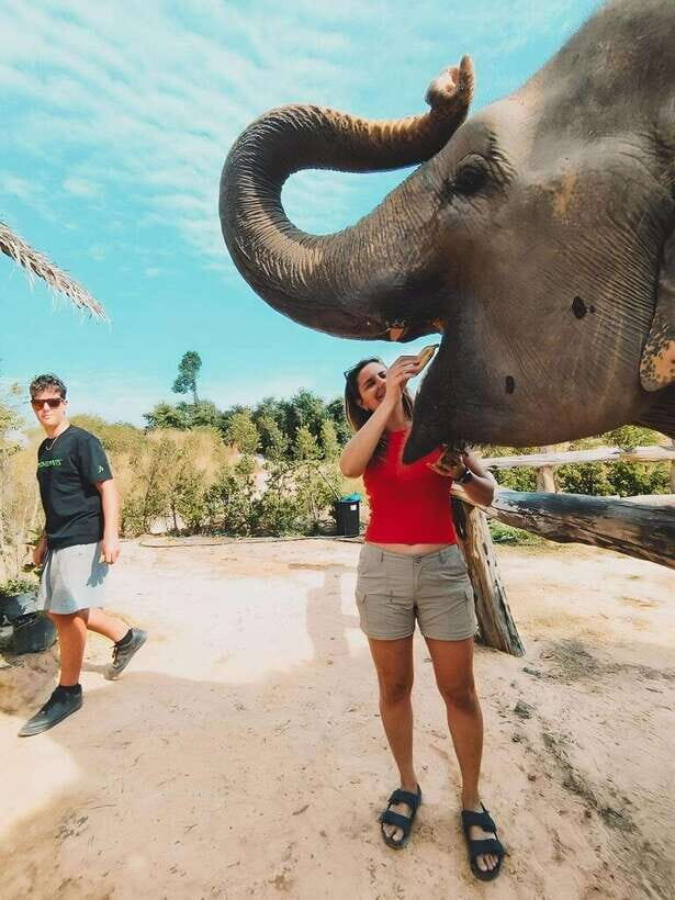 Siem Reap: Elephant Sanctuary Included Hotel Pickup Drop-off - Should You Book This Siem Reap Elephant Sanctuary Tour?