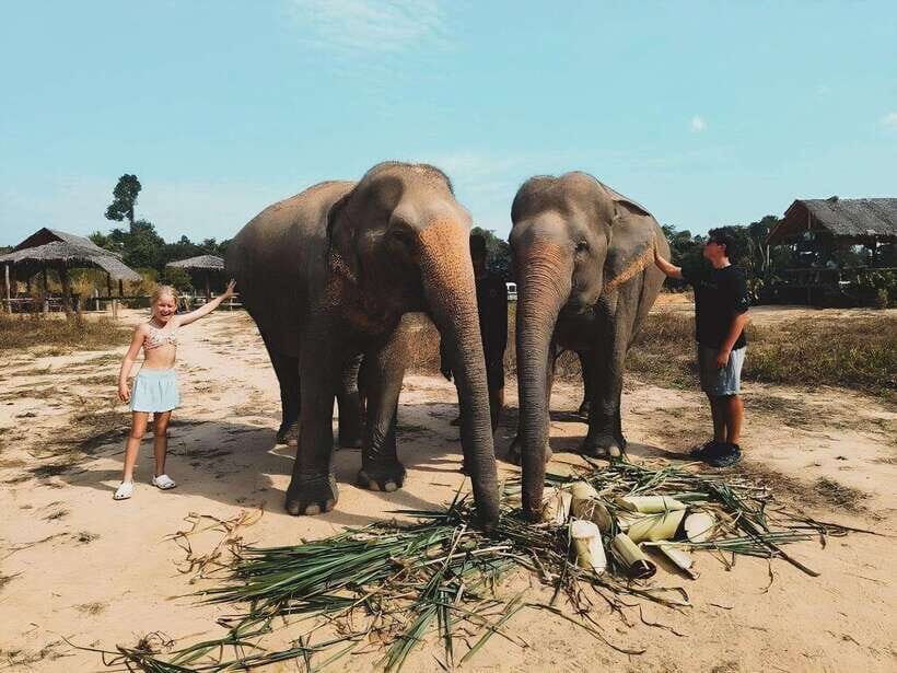Siem Reap: Elephant Sanctuary Included Hotel Pickup Drop-off - FAQ