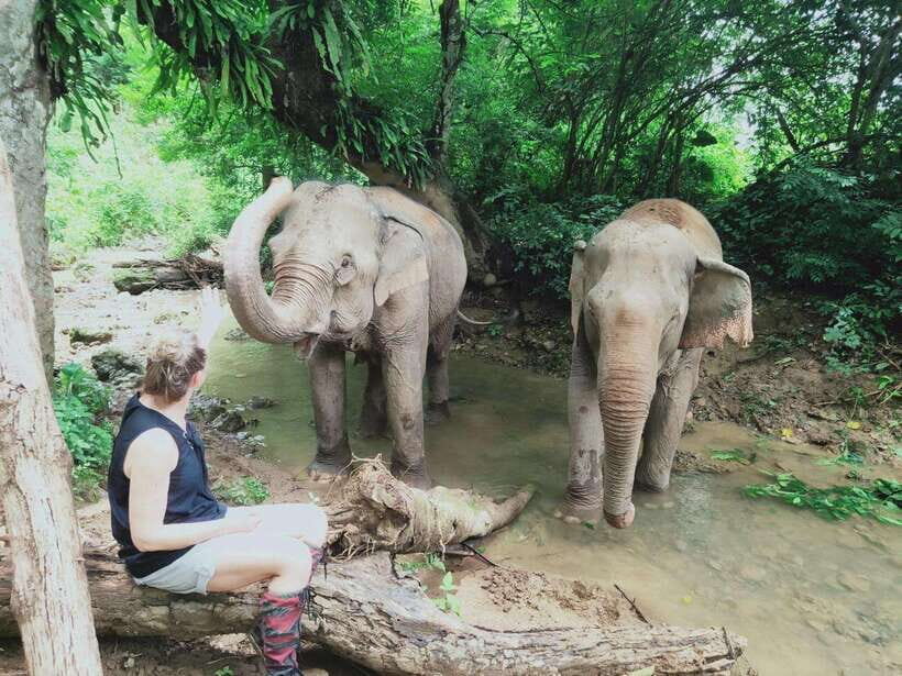 Siem Reap: Elephants & Apopo Rat Demining Private Trip - Key highlights you’ll feel fast