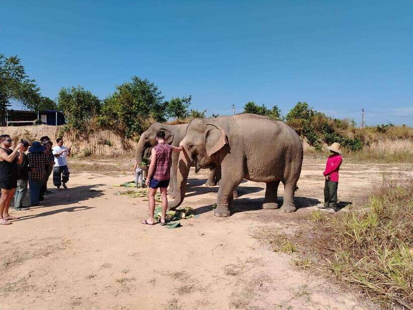 Siem Reap: Elephants & Apopo Rat Demining Private Trip - Price and Value: The $15 Base Price Doesn’t Tell the Whole Story