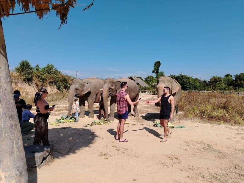 Siem Reap: Elephants & Apopo Rat Demining Private Trip - Should You Book This Elephant and Apopo Tour?