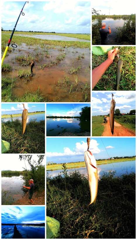 Siem Reap: Fishing in the rice fields, in the villages of Siem Reap - Rice-Field Fishing That Feels Like Real Khmer Life