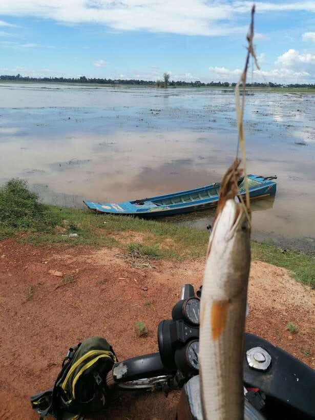 Siem Reap: Fishing in the rice fields, in the villages of Siem Reap - What’s Included in the $68 Price (and Why It Can Feel Worth It)