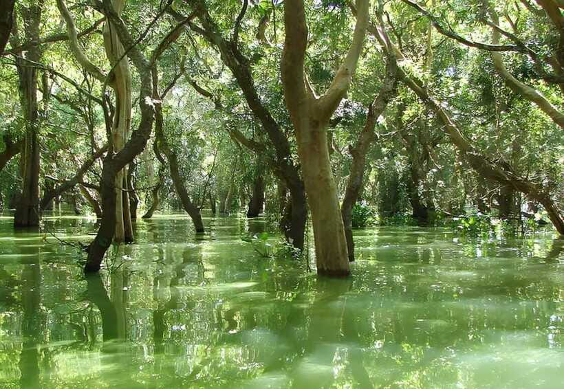 Siem Reap: Floating Village, Kampong Phluk Private Tour - Who this Kompong Phluk private tour suits best