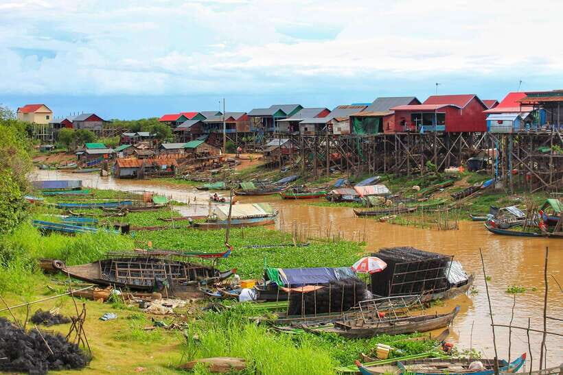 Siem Reap Floating Village Tour, Kompong Phluk Tour - Mangrove swamp boat tour: where the small-boat add-on may happen