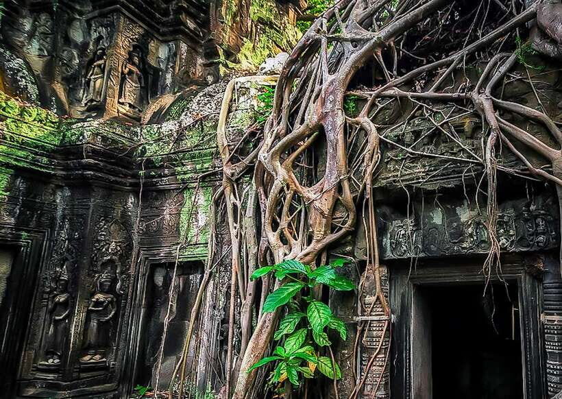 Siem Reap: Full-Day Angkor Wat Guided Tour with Sunset - Who this Siem Reap Angkor sunset tour suits best