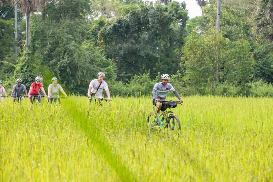 Siem Reap: Guided Countryside Bike Tour - The countryside loop: rice fields, back roads, and small-village rhythms