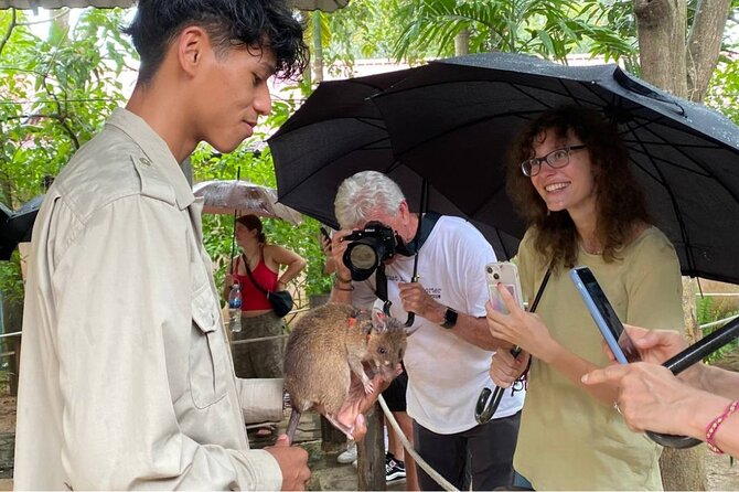 Siem Reap Guided Tour & Hero RATs at APOPO Visitor Center - Price and time: is $67 a smart use of your half-day?