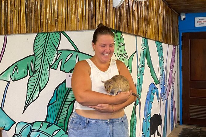 Siem Reap Guided Tour & Hero RATs at APOPO Visitor Center - Transport and guide experience: what makes the day feel easy