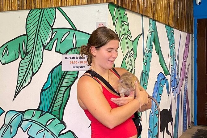 Siem Reap Guided Tour & Hero RATs at APOPO Visitor Center - Best use of this tour: who it suits (and who should think twice)