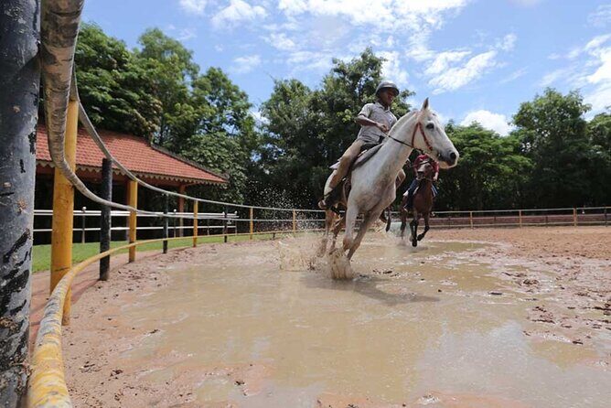 Siem Reap Happy Horse Riding Free Pick-up & Drop-off - Quick Take