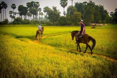 Siem Reap Happy Horse Riding Free Pick-up & Drop-off - Your Ride Plan: From Briefing to Countryside Loop