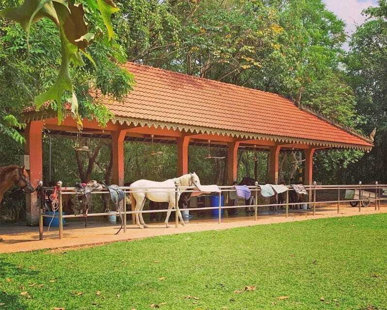 Siem Reap Happy Horse Riding Free Pick-up & Drop-off - Instructor and Equipment: What You’re Really Paying For
