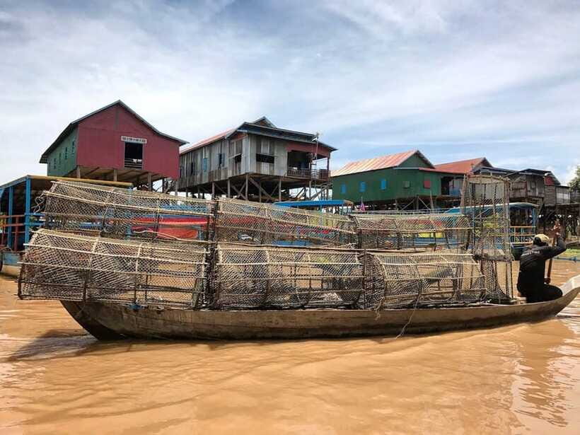 Siem Reap: Kompong Phluk Floating Village with Transfers - The mangrove forest boat ticket you should budget for