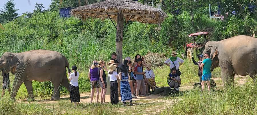 Siem Reap: Kulen Elephant Forest Guided Tour - Kulen Elephant Forest Tour: What Makes It Worth Your Day