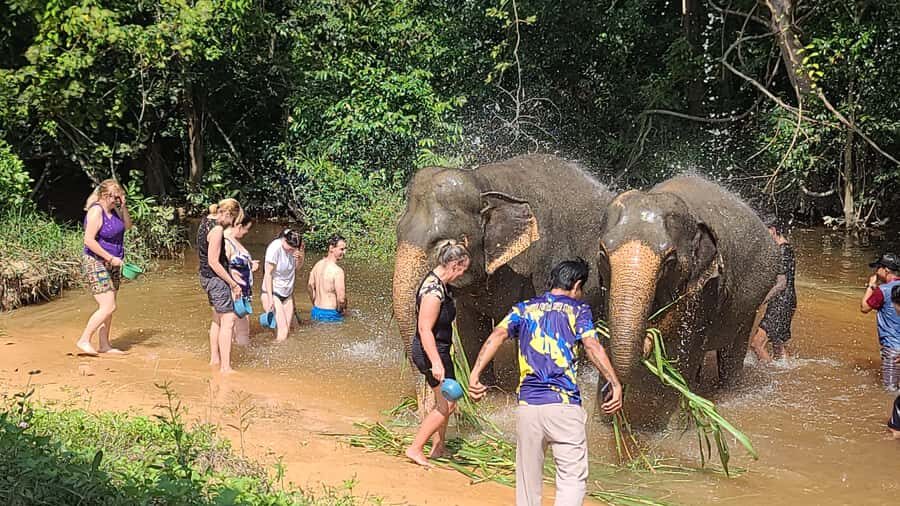 Siem Reap: Kulen Elephant Forest Guided Tour - Price and Value: Does $128 Make Sense for 8 Hours?
