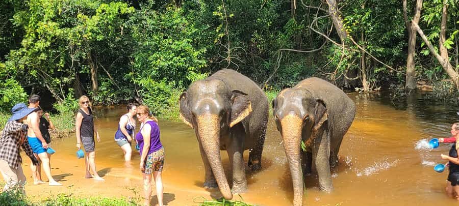 Siem Reap: Kulen Elephant Forest Guided Tour - Who This Tour Fits Best (and Who Might Want Something Else)