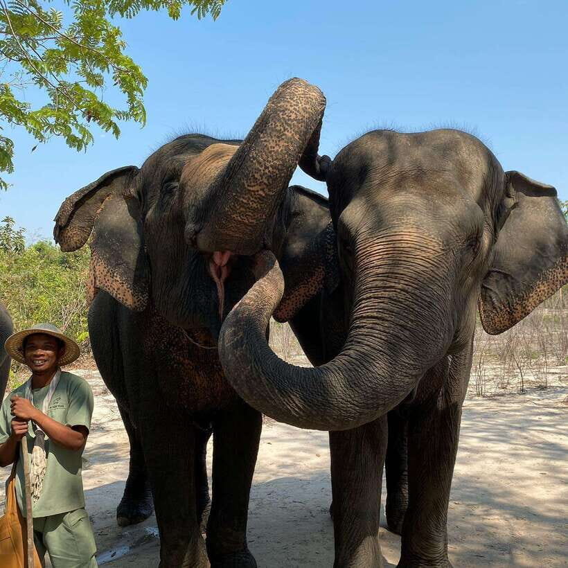 Siem Reap: Kulen Elephant Forest & Tonlesap Lake - Key things to notice before you go