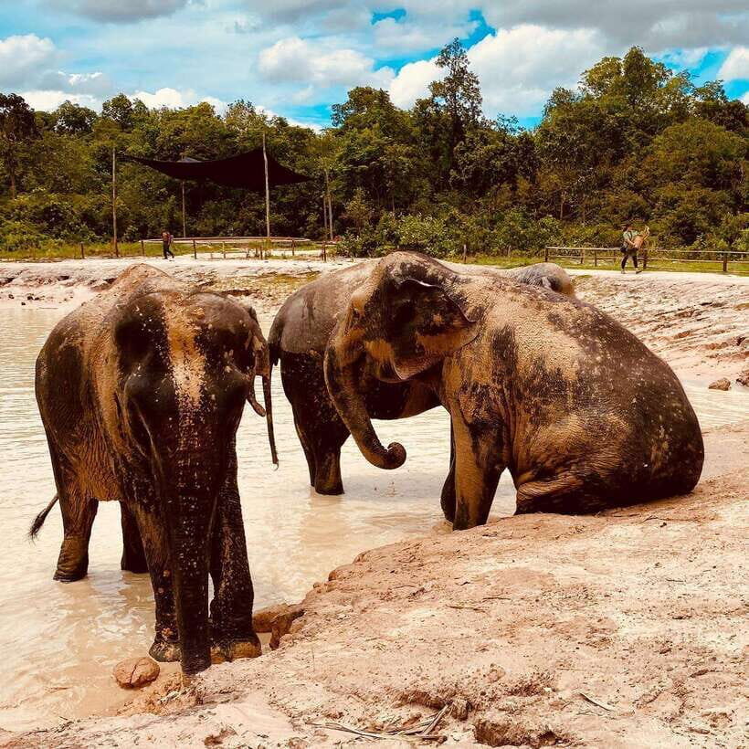 Siem Reap: Kulen Elephant Forest & Tonlesap Lake - Why Kulen Elephant Forest and Tonle Sap fit together so well