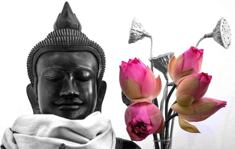 Siem Reap Lotus Silk Farm Discovery tour & Lake experience - Key Highlights You’ll Care About