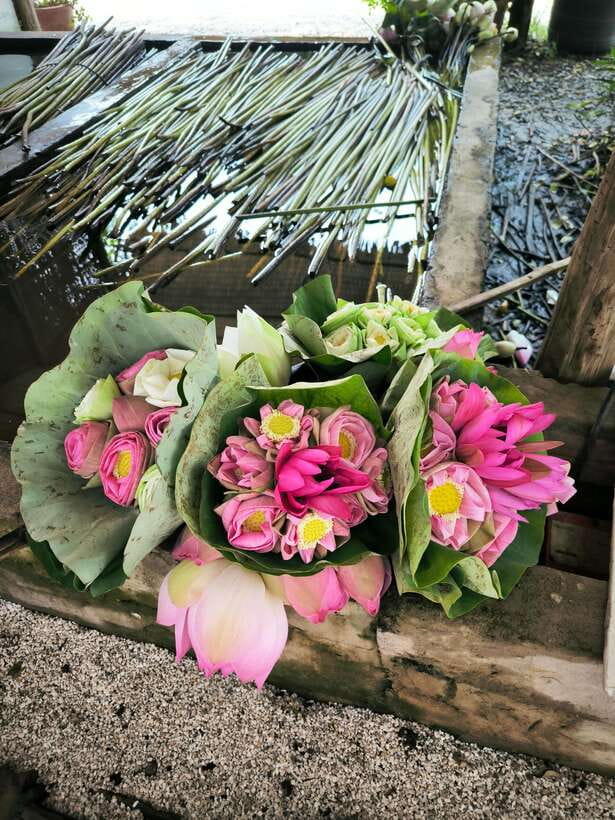 Siem Reap Lotus Silk Farm Discovery tour & Lake experience - Tuk-Tuk Transfer and the Traditional Boat Portion