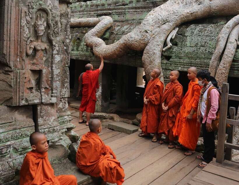 Siem Reap: Personalized Angkor Wat Sunrise/Set by TukTuk/Car - Ta Prohm: where the jungle and stone fight back