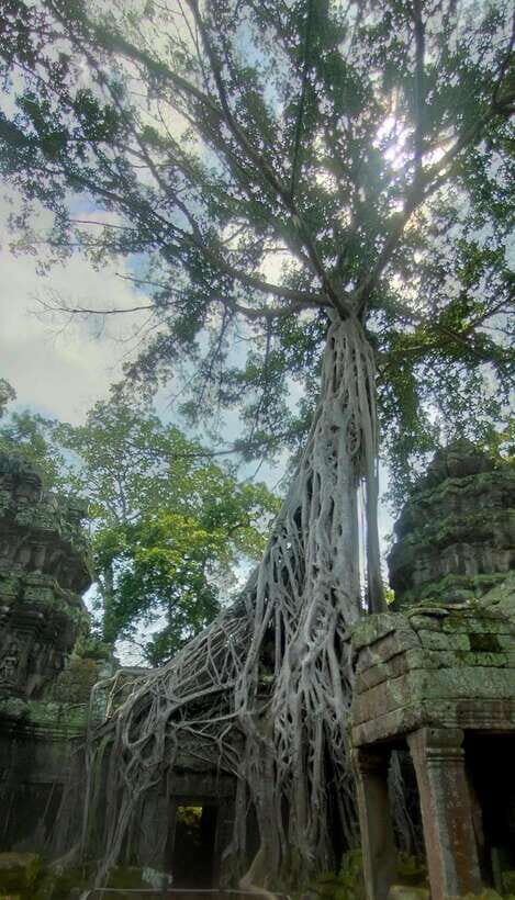 Siem Reap Private Tour: Angkor Wat Sunrise And Banteay Srei - Angkor Wat essentials: the stones, the guide, and the photo pauses