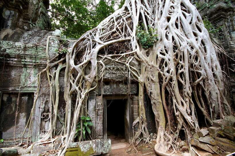 Siem Reap: Private Tour of Angkor Complex - Angkor Thom’s South Gate to Bayon: Where the day starts to click
