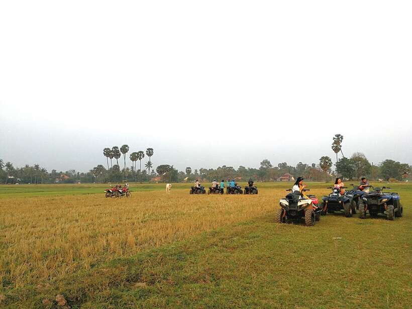 Siem Reap Quad Bike Countryside Tour - Sunset over paddy fields: when the countryside turns into a postcard