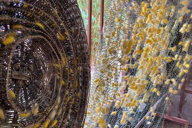 Siem Reap: Silk Farm & Countryside Offbeat Jeep Tour - Pickup, timing, and the value of $55