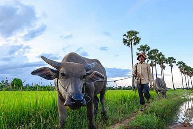 Siem Reap: Silk Farm & Countryside Offbeat Jeep Tour - War Museum stop: context without turning it into a lecture