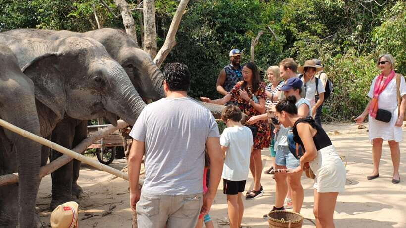 Siem Reap: Small Group Tour of Kulen Elephant Forest - The Guide Briefing: What You Learn Before You Get Close