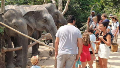 Siem Reap: Small Group Tour of Kulen Elephant Forest - Getting There from Siem Reap: Pickup, Shuttle Time, and Heat