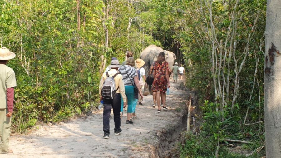 Siem Reap: Small Group Tour of Kulen Elephant Forest - Lunch at Base Camp: Traditional Khmer Meal or Snack