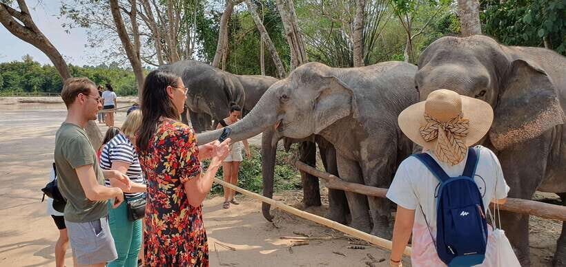 Siem Reap: Small Group Tour of Kulen Elephant Forest - Price and Value: Is $112 Worth It?
