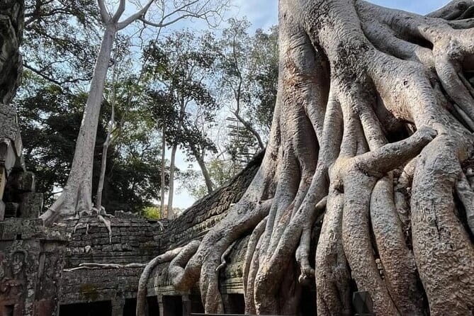 Siem Reap Temple Tuktuk Tour: Explore Angkor Wat and beyond. - Bayon Temple in Angkor Thom: Faces, Tower Views, and Big Atmosphere