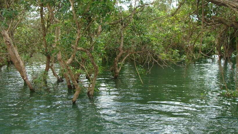 Siem Reap: Tonle Sap, Kampong Phluk & Floating Village Tour - Price and Value: About $17 for a Full Half-Day of Real Life