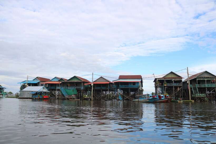 Siem Reap: Tonle Sap Lake - Fishing Village & Flooded Forest - Why Tonle Sap’s flooded forest is unlike anywhere else