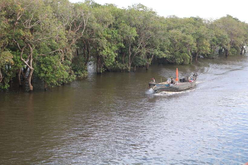 Siem Reap: Tonle Sap Lake - Fishing Village & Flooded Forest - Timing and water levels: what changes when it’s drier