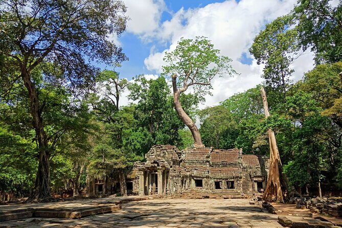 Siem Reap Tour: Angkor Wat Sunrise, Bayon, Ta Prohm, Banteay Srei - Banteay Srei: Pink Sandstone Carvings Away from the Main Flow