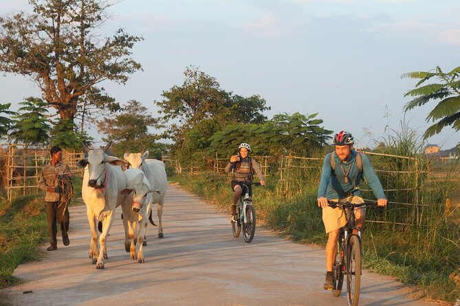 Silk Island at Twilight Cycle Encounter - Silk Island at Twilight: the real value in $36