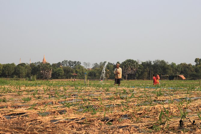 Silk Island & countryside of Phnom Penh by Tuk Tuk - Phsar Areyksat market stop: smells, colors, and real routine
