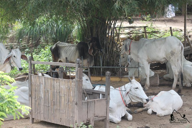 Silk Island & countryside of Phnom Penh by Tuk Tuk - Temples and the spiritual side of island life