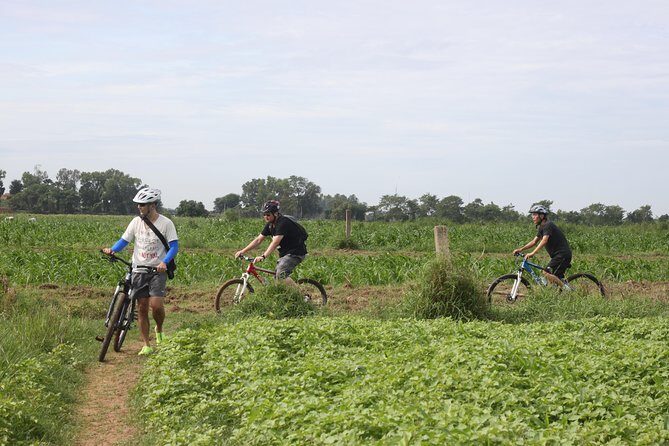 Silk Island Cycling Adventure & lunch with locals - Lunch (or dinner) on the Mekong: where the day cools down