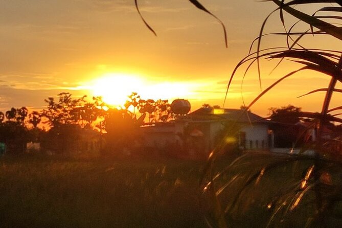 Small Group Countryside Bike Tours, Sunset & Picnic - Price and value: why $17.50 can make sense here