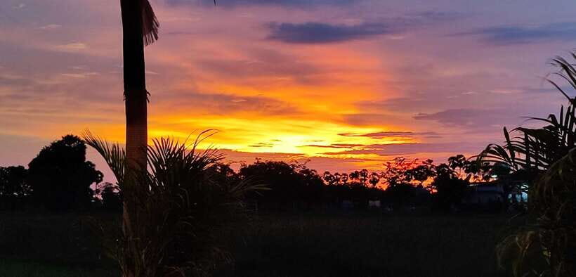 Small Group Countryside Sunset Bike Tours - Rice paddies, lotus farms, and the village views you can’t get from temples