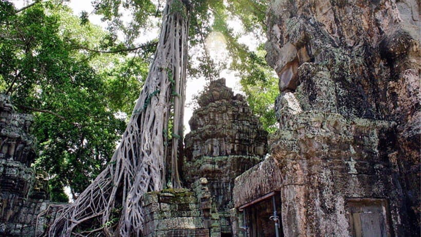 Small-Group Explore Angkor Wat Sunrise Tour with Guide - Ta Prohm and the tree-root ruins: nature meets architecture