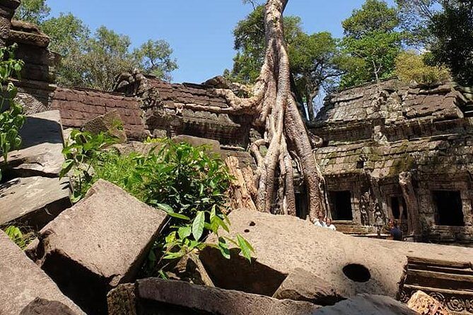 Special Three Days Angkor Tour - Your guide really drives the quality: Dara and the calm, flexible approach