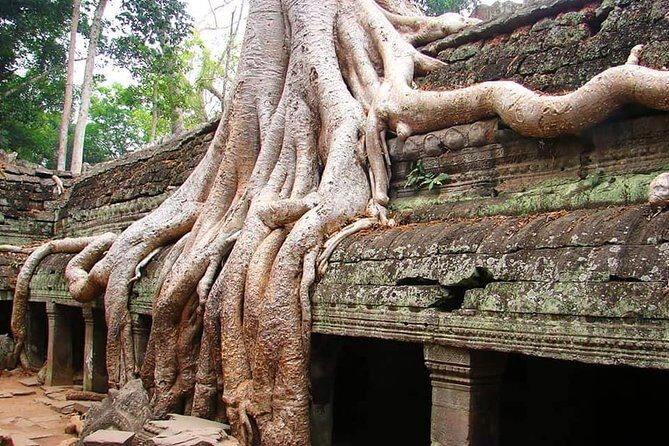 Special Three Days Angkor Tour - Day 1: Angkor Wat, Ta Prohm, and Angkor Thom at sunset time